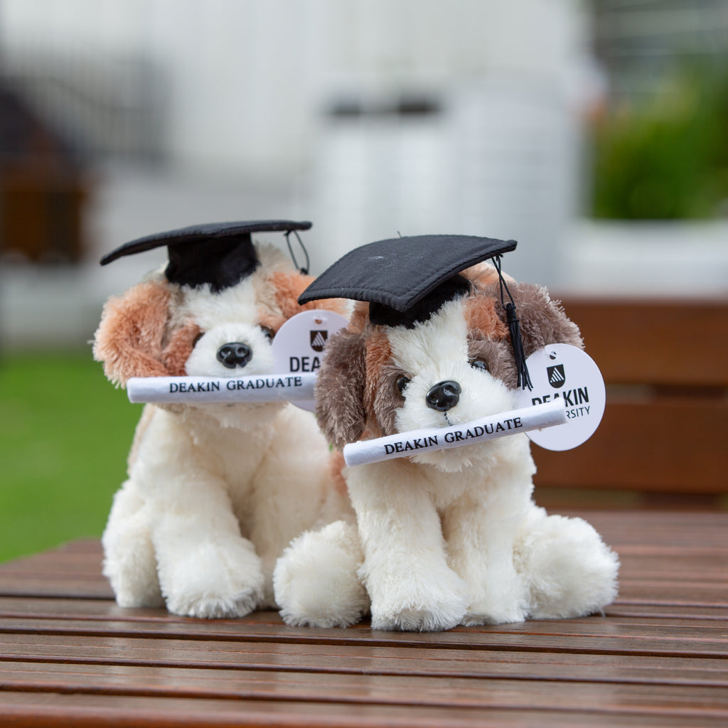 Graduation stuffed dog online