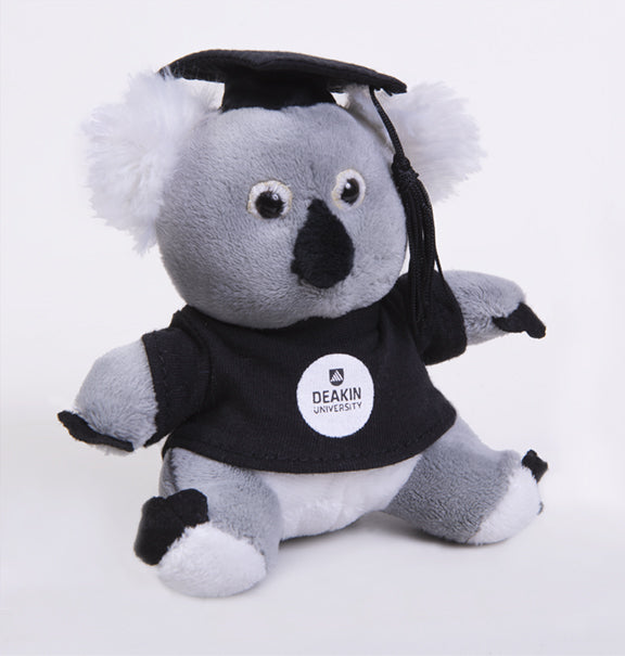 Graduation - Small Koala