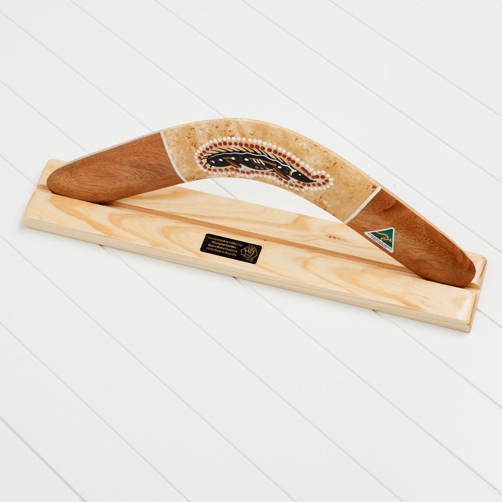 Hand painted boomerang